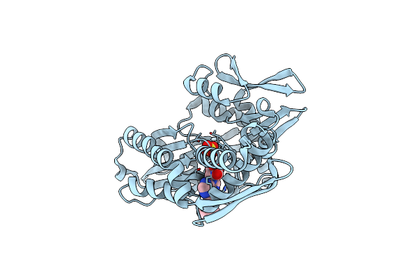 8D1Y image