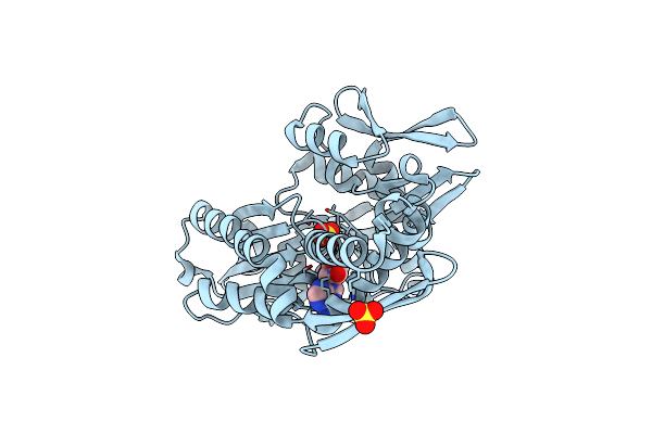 8D20 image