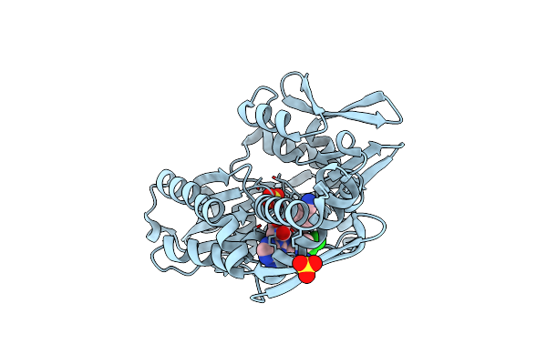 8D24 image
