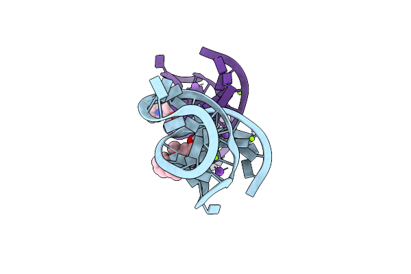 8D2B image