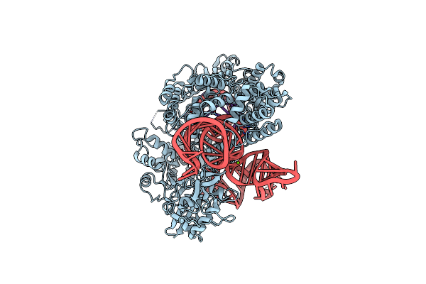 8D2P image