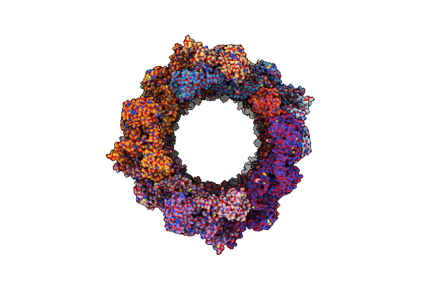 8D3D image
