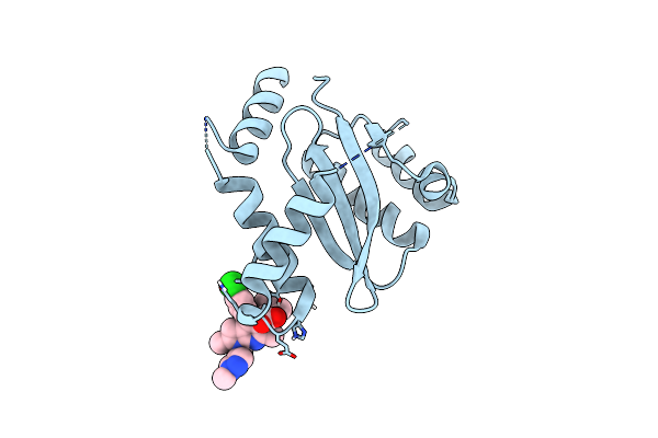 8D3S image