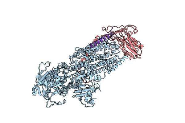 8D3V image