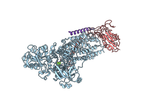 8D3X image