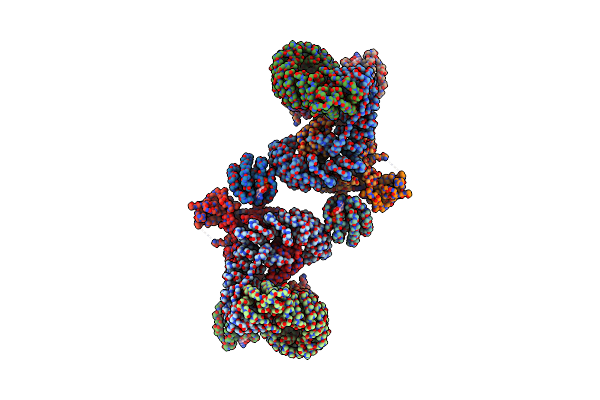 8D4C image