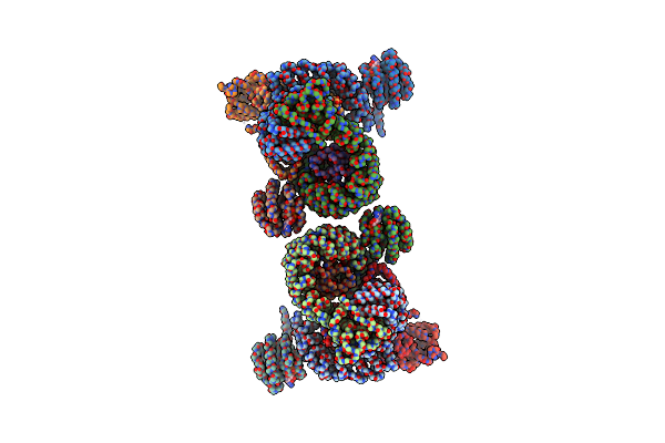 8D4D image
