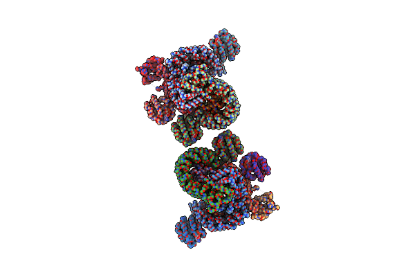 8D4G image