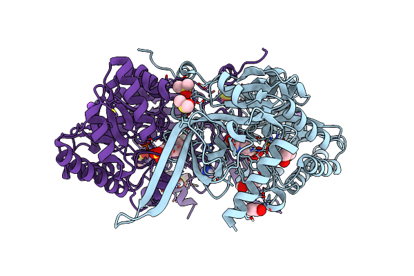 8D4I image