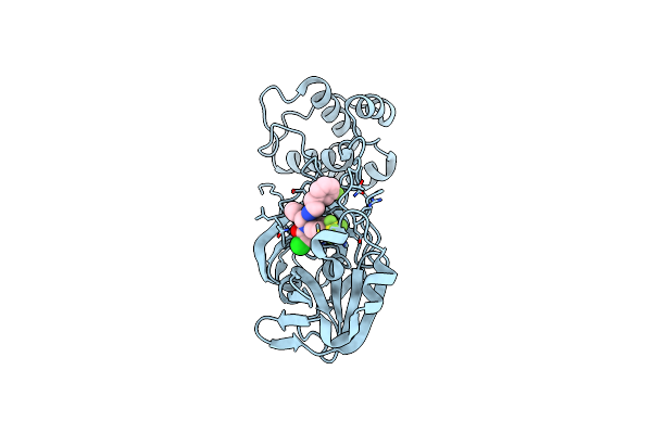 8D4P image