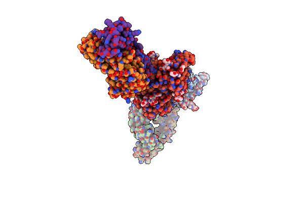 8D4R image