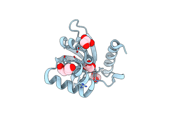 8D4W image