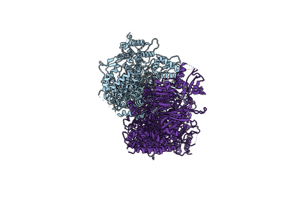8D4X image