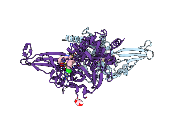 8D4Z image