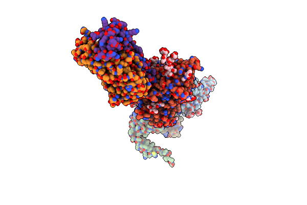 8D50 image