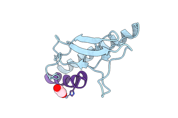 8D51 image