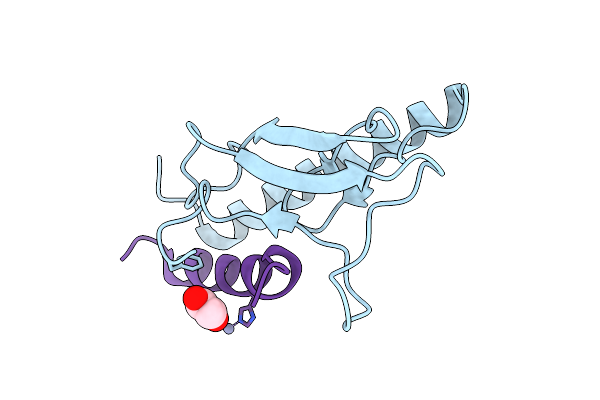 8D52 image