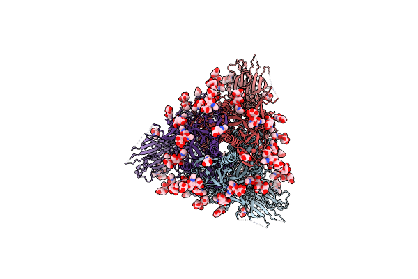 8D55 image