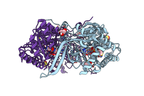 8D5D image