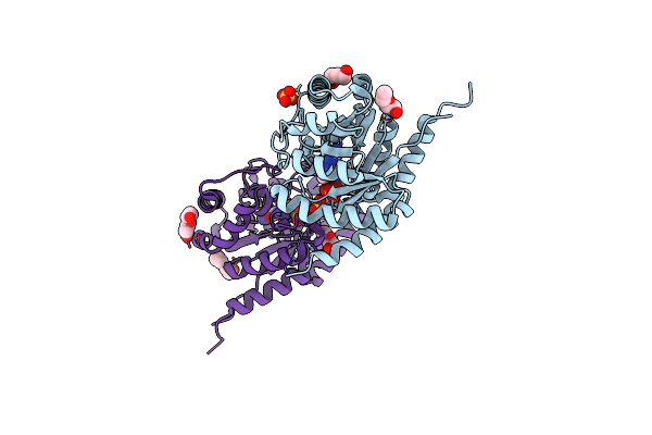 8D5H image
