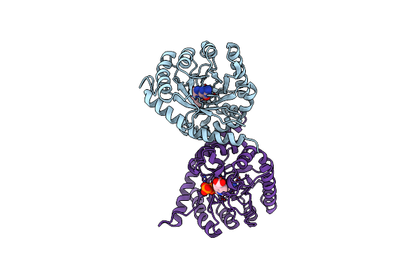 8D5I image