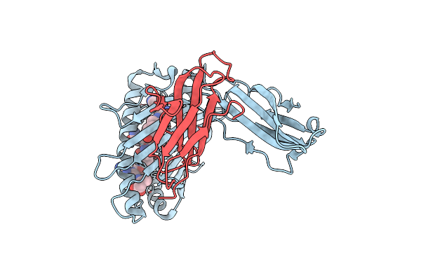 8D5J image