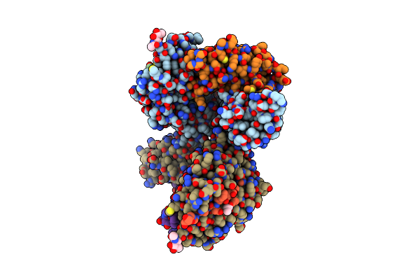 8D5N image