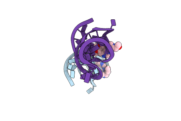 8D5O image