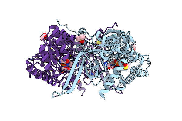 8D5R image