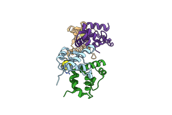 8D5V image