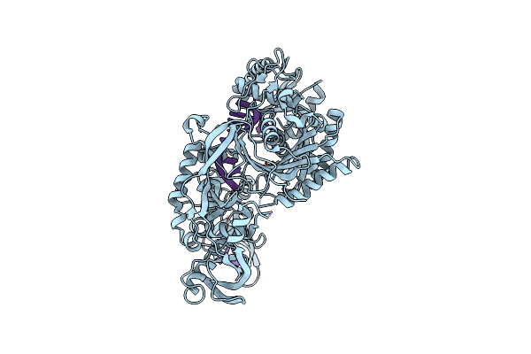 8D6J image