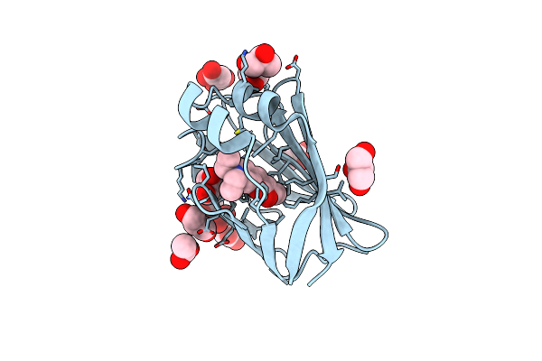 8D6N image