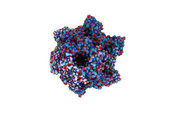 8D6X image