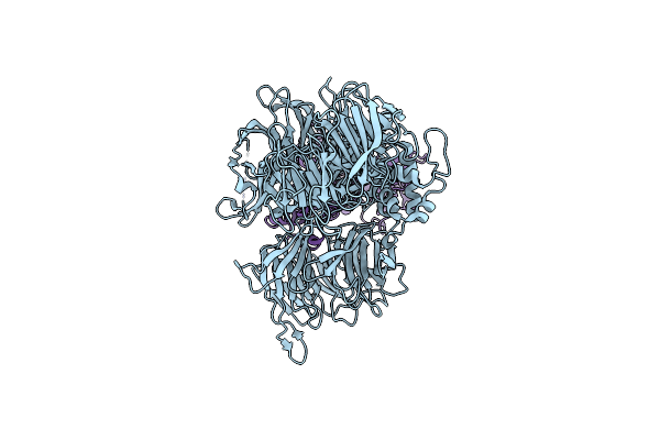 8D7W image