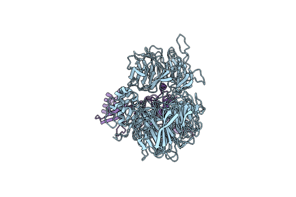 8D7X image