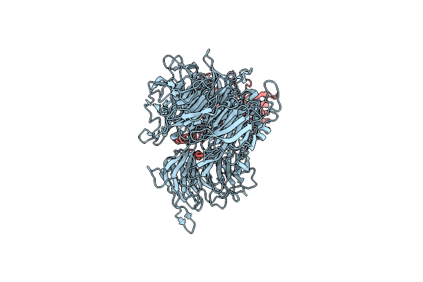 8D7Z image