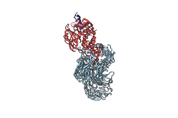 8D80 image