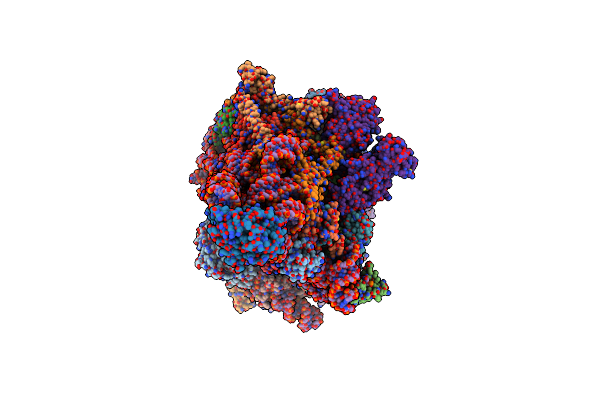 8D8K image