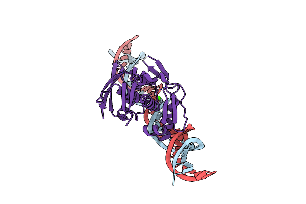 8D8M image