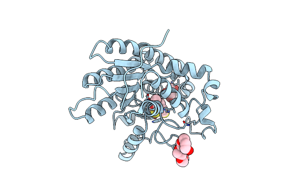 8D8X image