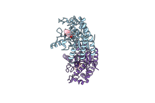 8D91 image
