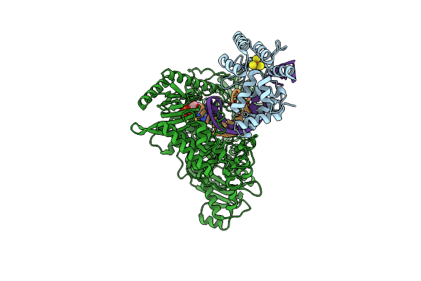 8D96 image