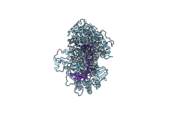8D97 image