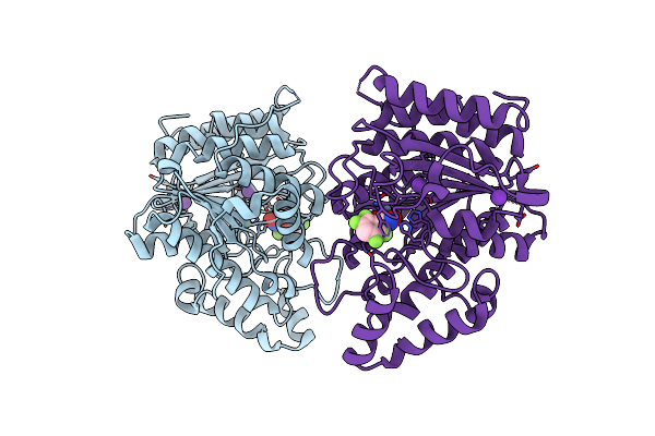 8D9B image