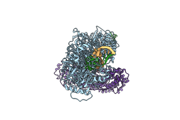 8D9H image