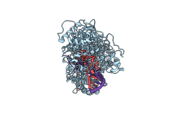 8D9I image
