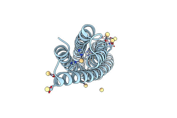 8D9O image