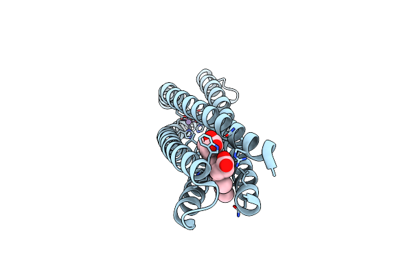 8D9P image