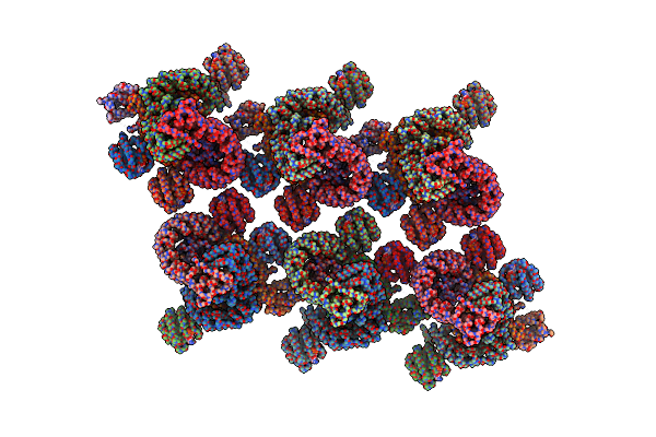 8D9R image