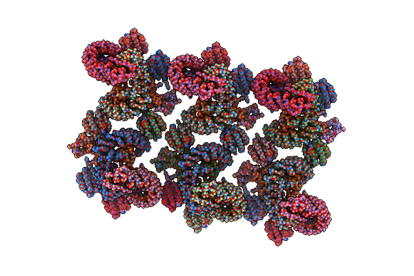 8D9S image
